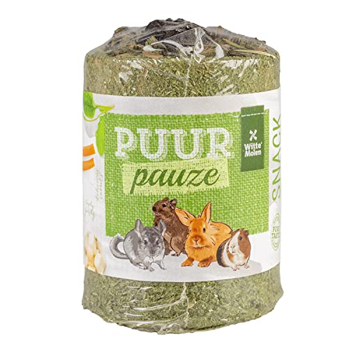 Witte Molen, Puur Pauze Tube Petersilie, Karotte & Wegerich, 100 g, Grün, Futter für Nagetiere, köstliche und gesunde Aktivität, ohne Konservierungsstoffe, Farbstoffe oder künstliche Aromen von Witte Molen