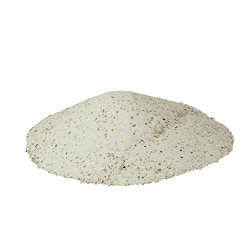 Witte Molen Vogelsand weiß 20 kg Muschelsand mit Anis für Vögel von Witte Molen