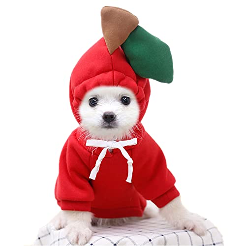 Hunde-Weihnachts-Halloween-Kostüme, Hunde-Kapuzenpullover für kleine Hunde, Katzen, Welpen, Yorkie, Chihuahua, Zwergspitz, Kleidung (groß, rot-apfel) von Wiz BBQT