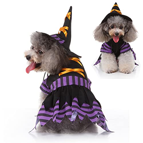 Lustiges Halloween Hundekleid Kostüm + Verstellbarer Hexenhut Urlaubsthema für kleine Hunde Katzen Mädchen (X-Large) von Wiz BBQT