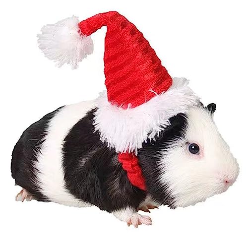 Meerschweinchen Nikolausmütze - Kätzchen Häschen Hamster Chinchilla Igel Frettchen Eichhörnchen Weihnachtsmütze Streifen Weihnachtsmann Kappe Partyhut für kleine Tiere (XS) von Wiz BBQT