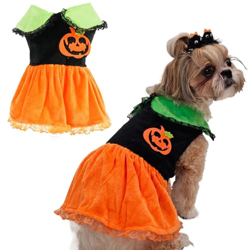 Wiz BBQT Hunde-Kürbis-Kostüm für kleine und mittelgroße Hunde, Halloween-Hundekleider, Wiz BBQT Halloween-Kürbis-Hundekostüm, schwarz-orangefarbener Samt, Knopfverschluss, leicht (Kürbis, klein) von Wiz BBQT