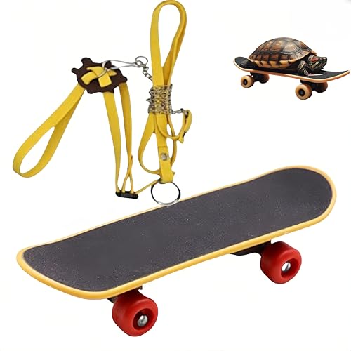 Skateboard Spielzeug für Schildkröten für echte Schildkröten Reptilien Geschirr Geschirr Tragbares Geschirr für bärtige Drachen Skateboard für Reptilien zum Spielen von Haustieren von WizeFolk