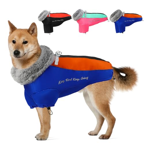 Hundejacke (Blau, Größe L (Brustumfang: 61 cm) von Wn's Day