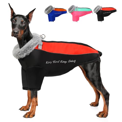 Hundejacke (Schwarz, Größe XXXL (Brustumfang: 101,6 cm) von Wn's Day