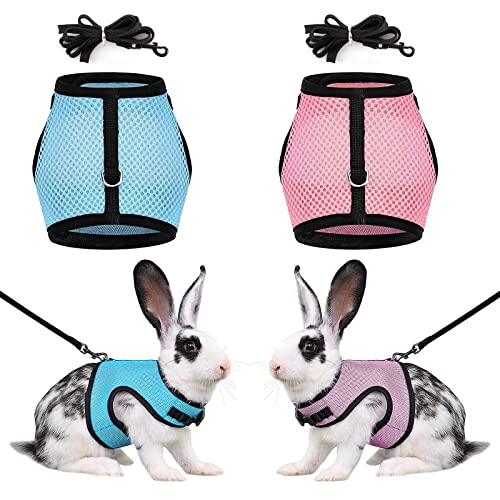 2 Stück Haustier Geschirr und Leine für Kaninchen, Verstellbares Hasengeschirr, Mesh Kaninchen Geschirr, Leine Weiches Geschirr für Kaninchen, für Kleintier Hase Hamster Katze Outdoor (Blau, Rosa) von WnlahuWA