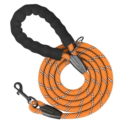 Schleppleine 2m für Hunde, 5m.10m, 20m, 30m, Nylon Reflektierend Lang Robuste Hundeleine, mit Gepolstertem Griff, laufleine für kleine/große Hunde (Orange) von Wodondog