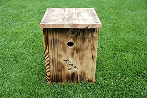 Zwitscherkasten mit Vogelmotiv (SH1) Zwitscherhäusle Schnaps Bar Vogelhaus Nistkasten aus Holz Vatertagsgeschenk Hausbar Geschenkidee für Männer Garten von Woid Herz