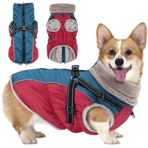 Woiil Hundemantel Winter, Hundemantel Wasserdicht für Kleine Hunde mit verstellbares Hundegeschirr, Warm Hundejacke aus Fleece, Reflektierende Streifen, Dog Jacket (M,Rot) von Woiil