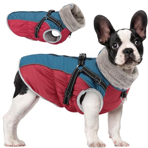 Woiil Hundemantel Winter, Hundemantel Wasserdicht für Kleine Hunde mit verstellbares Hundegeschirr, Warm Hundejacke aus Fleece, Reflektierende Streifen, Dog Jacket (M,Rot) von Woiil