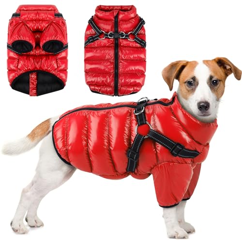 Woiil Wasserdichter Hundemantel, Winter Warme Hundejacke, Hundeweste mit Geschirr, Hunderegenmantel Winddicht, Reflektoren Winterweste, Kaltes Hundemantel für Kleine Mittlere Große Hunde(M Rot) von Woiil