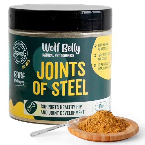 Wolf Belly - Grünlippmuschel Hund Pulver 100% Natürlich (180gr) Gelenkpulver für Hunde und Katzen Vitamine, MSM für Arthrose Hund, Gesundheitsprodukte mit hohem Kurkuma für Hunde - Joints of Steel von Wolf Belly Natural Pet Goodness