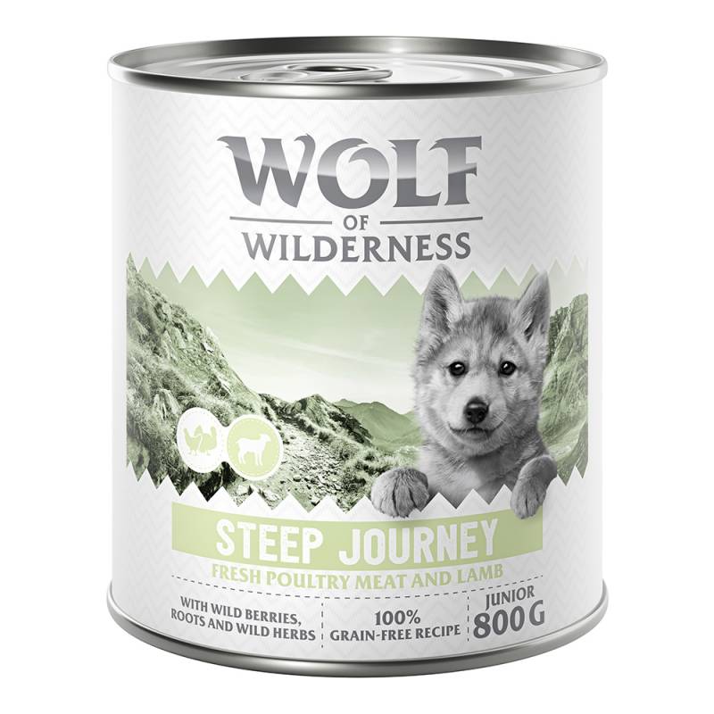 10 € Rabatt sichern! Sparpaket Wolf of Wilderness 24 x 800 g - JUNIIOR Steep Journey - Geflügel mit Lamm von Wolf of Wilderness