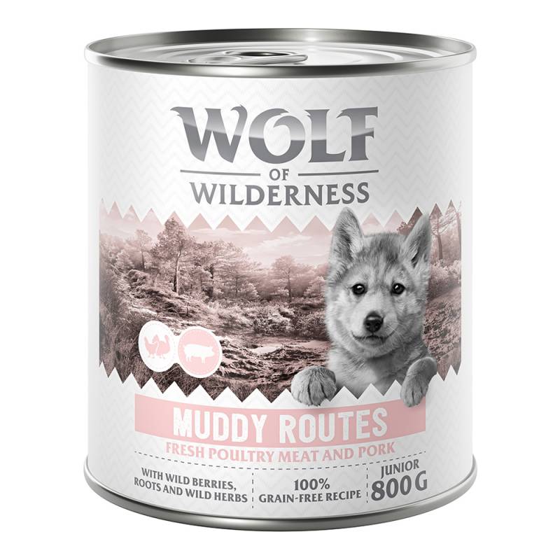 10 € Rabatt sichern! Sparpaket Wolf of Wilderness 24 x 800 g - JUNIOR Muddy Routes - Geflügel mit Schwein von Wolf of Wilderness