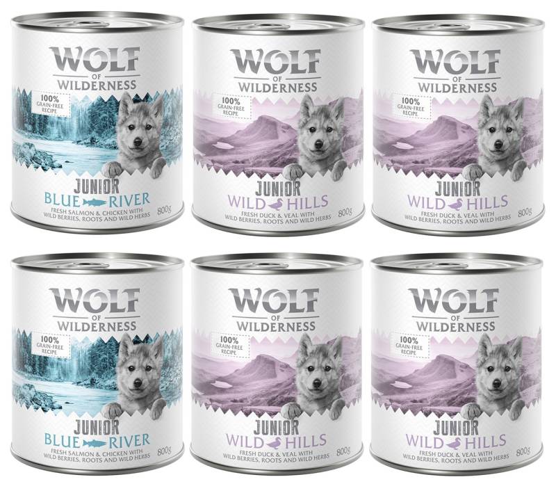 10% Rabatt! Wolf of Wilderness Mixpakete - Junior, Adult & Senior - 6 x 800 g: JUNIOR Ente & Kalb, Huhn & Lachs von Wolf of Wilderness