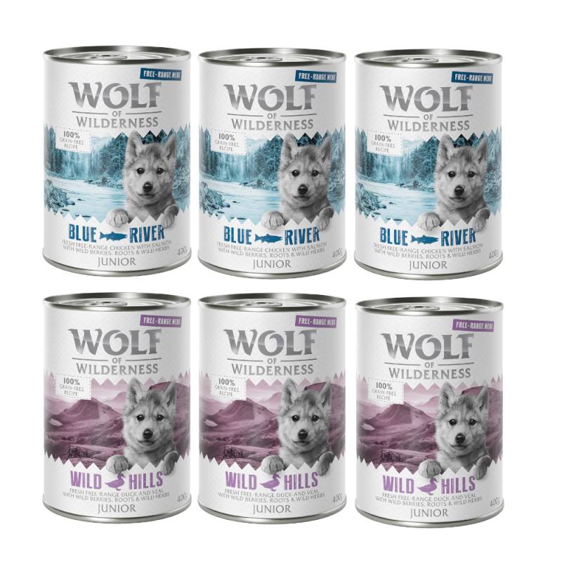 10% Rabatt! Wolf of Wilderness Mixpakete zum Aktionspreis! Junior, Adult & Senior - 6 x 400 g: JUNIOR Freiland-Ente & -Kalb, Freiland-Huhn & Lachs von Wolf of Wilderness