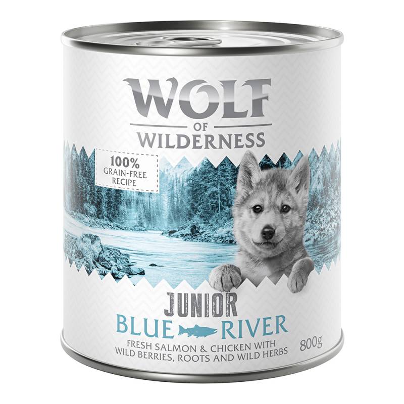 11 + 1 gratis! Wolf of Wilderness 12 x 800 g - JUNIOR Blue River - Huhn & Lachs von Wolf of Wilderness