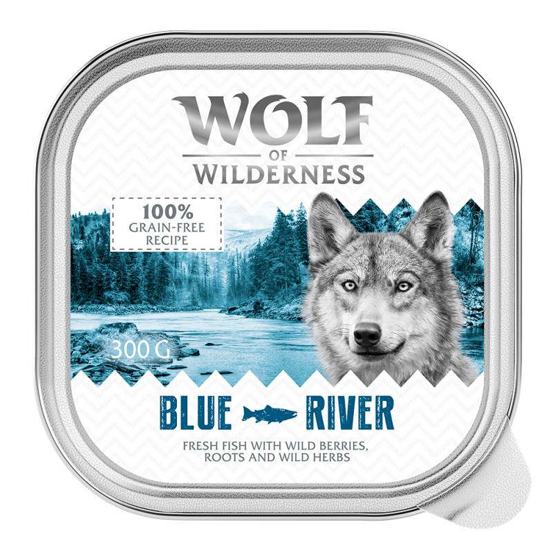 Wolf of Wilderness Adult - Single Protein 6 / 24 x 300 g Schale  - 24 x 300 g: Blue River - Fisch von Wolf of Wilderness