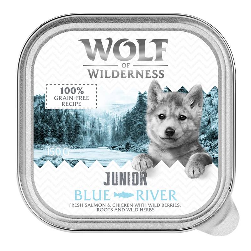 Wolf of Wilderness JUNIOR - Duo-Protein Rezeptur 6 / 24 x 150 g Schale - 24 x 150 g Blue River - Huhn & Lachs von Wolf of Wilderness