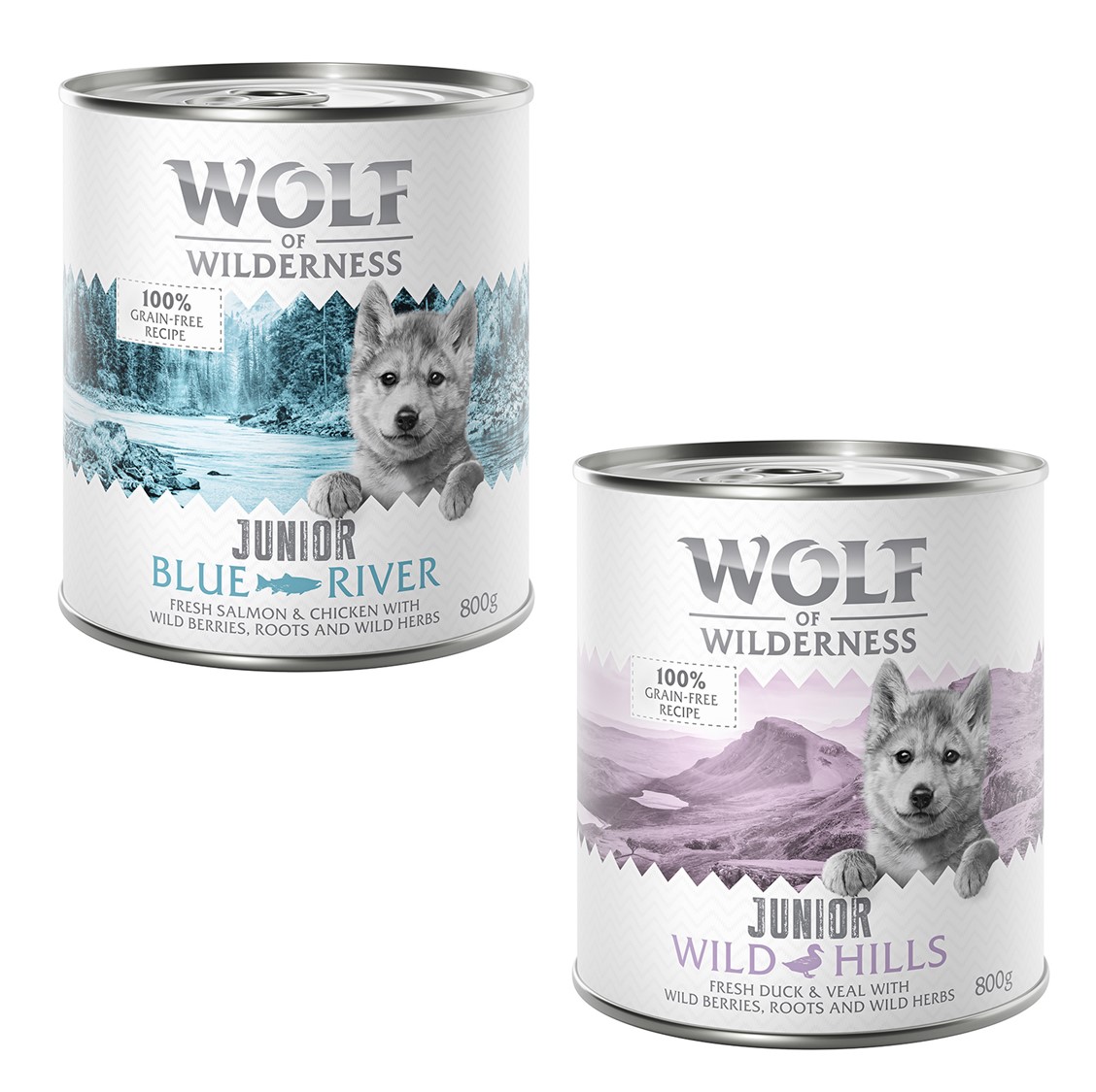 Wolf of Wilderness JUNIOR - Mixpaket - 24 x 800 g: 12x Huhn & Lachs, 12x Ente & Kalb Wolf of Wilderness JUNIOR - Mixpaket - 24 x 800 g: 12x Huhn & Lachs, 12x Ente & Kalb von Wolf of Wilderness