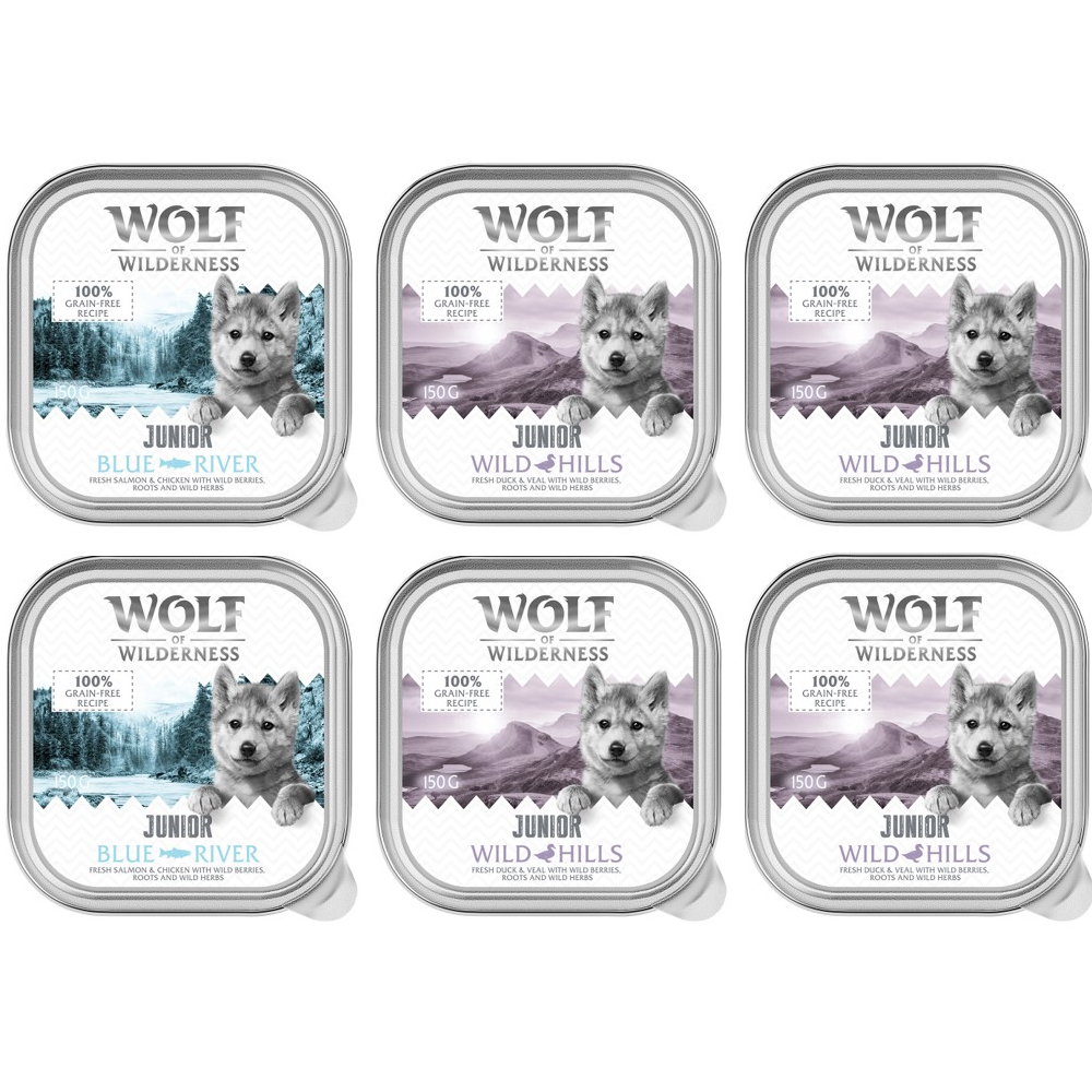 Wolf of Wilderness JUNIOR - Mixpaket - 6 x 150 g: 4x Ente & Kalb, 2x Huhn & Lachs Wolf of Wilderness JUNIOR - Mixpaket - 6 x 150 g: 4x Ente & Kalb, 2x Huhn & Lachs von Wolf of Wilderness