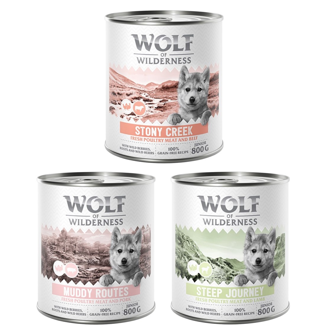 Wolf of Wilderness Junior - mit viel frischem Geflügel 6 x 800 g - Mixpaket Wolf of Wilderness Junior - mit viel frischem Geflügel 6 x 800 g - Mixpaket von Wolf of Wilderness