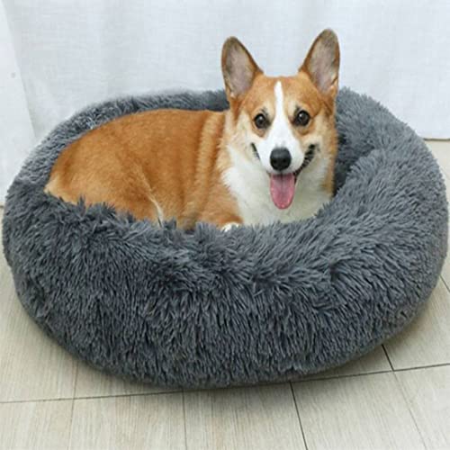 Wolke Hundebett, Katzenbett, Waschbar, 60cm, Hundekissen, Flauschiges Hundebett für große, mittelgroße & kleine Hunde, Hunde Pettbett, Hundematratze, plüsch (Schwarz) von Wolke