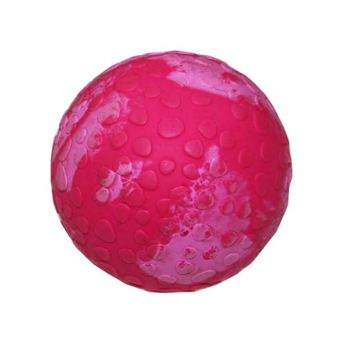 Wolters Cat & Dog Wasserball, Himbeer, 7 cm, für Erwachsene Hunde, Outdoor, Wasserresistent, Kautschuk, Ball, Spielzeug von Wolters Cat & Dog