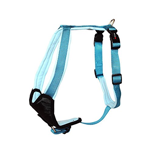 Wolters | Geschirr Professional Comfort in Aqua/Azur | Brustumfang 70 - 85 cm von Wolters Cat & Dog