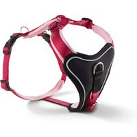 Wolters Professional Comfort Hundegeschirr rosa XXS Wolters Professional Comfort Hundegeschirr rosa XXS von Wolters