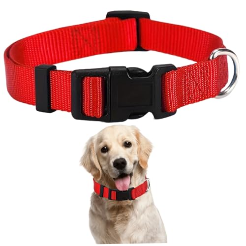 Roter Hundehalsband, verstellbare Nylon-Reflexionshundkragen mit Schnellverschluss und D-Ring, Welpenkragen für Gehen im Freien von Womsclo