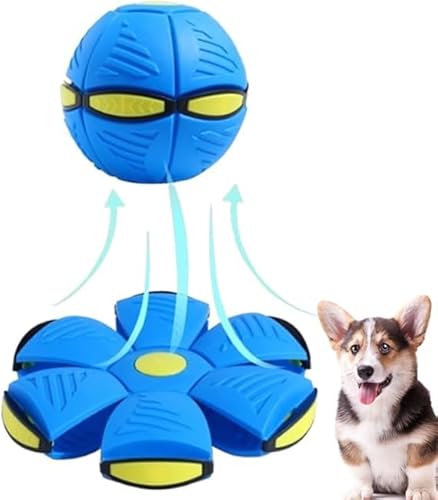 Wonjean Haustier Spielzeug Frisbee Ball,Fliegender Ball für Hunde,Fliegend Untertasse Ball Spielzeug für Hunde,Fliegender Ball,Frisbee Kinder Pet Toy Frisbee Ball Hund Für Hundetraining,Werfen,Fangen von Wonjean