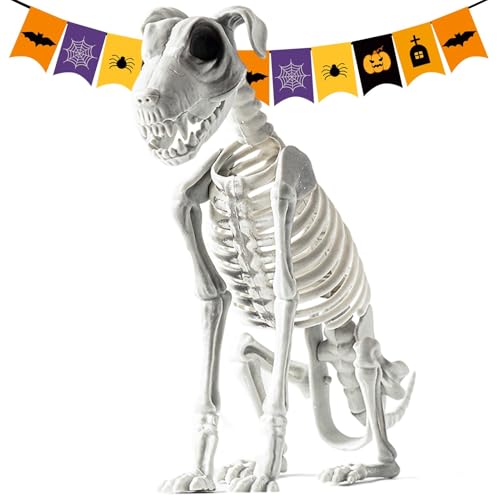 Halloween Skelett Hunde | Halloween Deko Skelett Hund Sitzende | Sitzendes Hunde Skelett Deko Mit Realistischen Zähnen | Halloween Deko Für Draußen | Halloween Deko Outdoor Für Spukhaus Gathering von Wonsfuleu