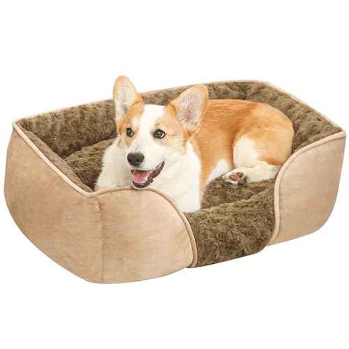 Hundebett Mittelgroße Hunde, Hunde Sofa, Hundebetten, Orthopädisches Hundebett, Dog Bed, Hunde Matratze, Waschbares Welpenbett Mit Rutschfester Unterseite, Zusätzlicher Kopf Nackenstützschläfer von Wonsfuleu