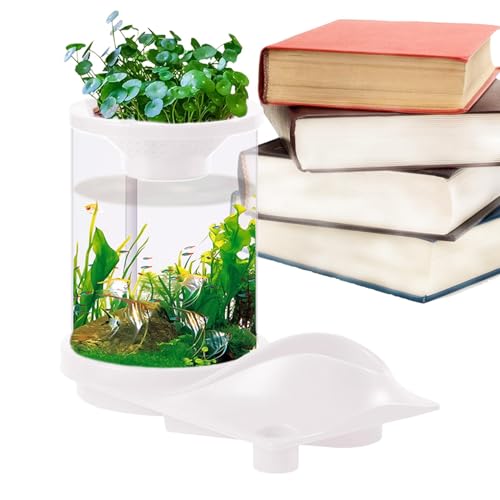 Wonsfuleu Kleines Aquaponic-Aquarium, Desktop-Betta-Aquarium | Durchscheinendes stilles Aquarium | Selbsterhaltendes Aquarium mit Aquarium-Aquaponik-Ökosystem für Fischgeschäft, Zuhause, Arbeitsplatz, von Wonsfuleu