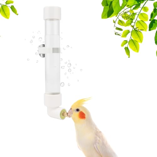 Wontee Vogelwasserspender für Papageien, automatischer Vogelwasserspender für mittelgroße Vögel, Nymphensittiche, Conure Caique (S, 150 ml) von Wontee