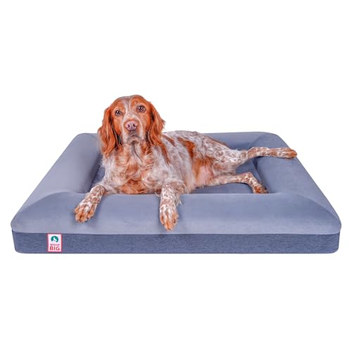 Woof Big Orthopädisches Hunde-Nistbett für mittelgroße Hunde (erhöhtes Hundebett, Memory-Schaum-Hundebett, waschbar und abnehmbarer Bezug), wasserdichte Einlagen, entworfen zum Kuscheln (Grau - von Woof Big