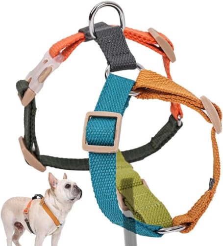 Woofyland Hundegeschirr, Schnellverschluss, verstellbar, ergonomisches Design, reißfest, Spleißen, Farbtraining, Baumwolle, für kleine und mittelgroße Hunde, Brustgurt, Haustierzubehör (Orangeblau, von Woofyland