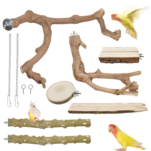 Woohome 7 Stück Natur Sitzstangen Vögel, Natürlicher Sitzstangen für Vögel Holz, Sitzstangen Vögel, Vögel Spielzeug Vogel Papagei Schaukel Spielzeug von Woohome