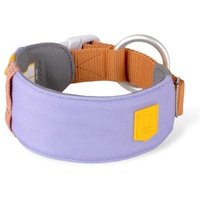 Woolly Wolf Halsband Alpha 360 Lavendermix L von Woolly Wolf