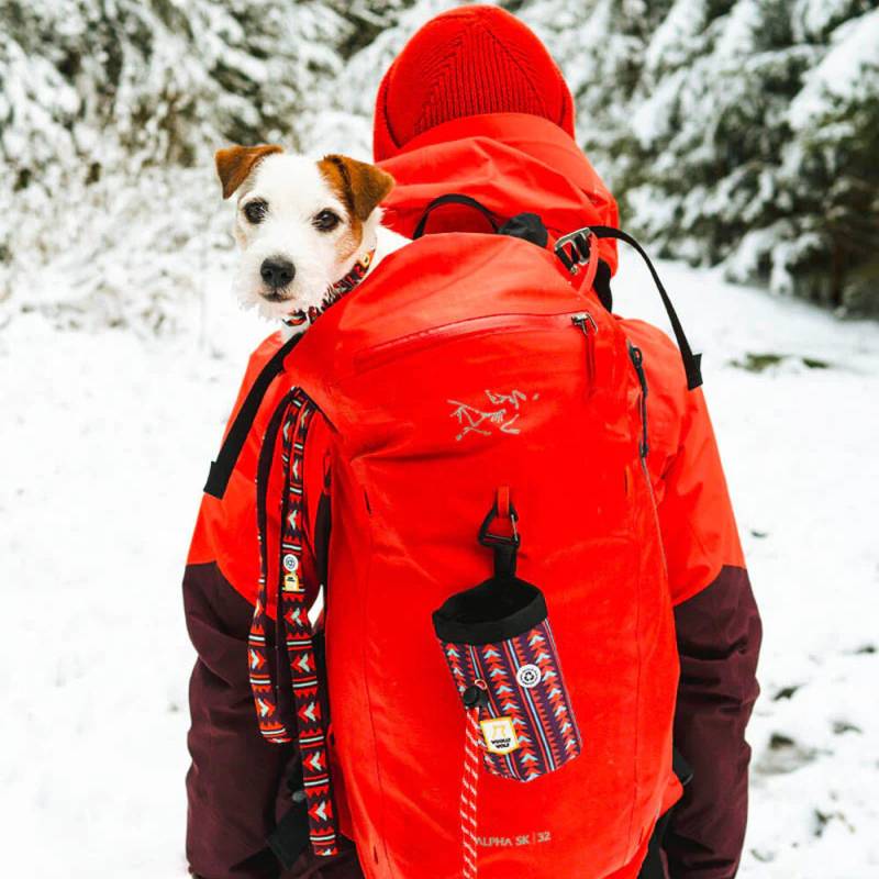 Woolly Wolf - Polar Night Leash von Woolly Wolf