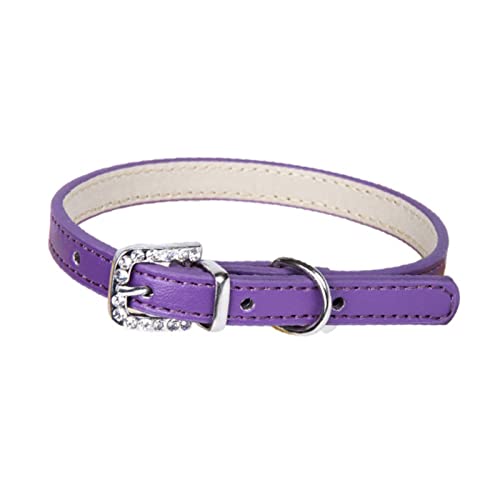 Worparsen Haustier-Halskette Unisex-Hunde-Hals-Halsband-Nicht klebrige Haar-Kleidung Lila S von Worparsen