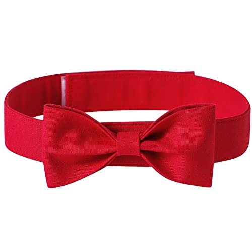 Worparsen Haustier-Krawatte, dekoratives Halsband, verstellbar, einfarbig, Rot, Größe M von Worparsen