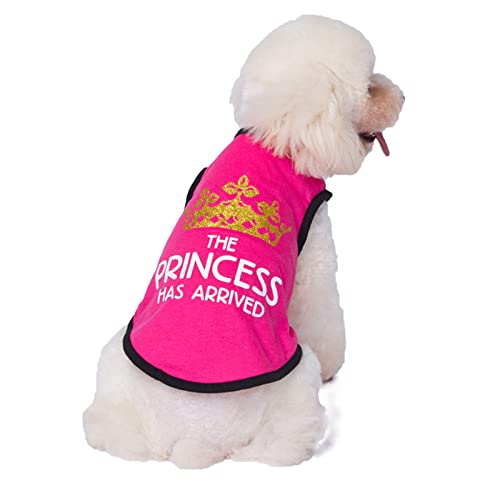 Worparsen Sommer Hunde Kleidung niedliches Welpen Hemd Haustier Sweatshirt Kleidung Nicht klebriges Haar atmungsaktiv Rose Rot L von Worparsen