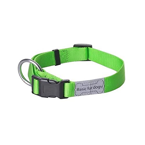 Wouapy Basic Line Halsband für Hunde, 20 mm breit, Halsumfang 39/60 cm, grün von Wouapy