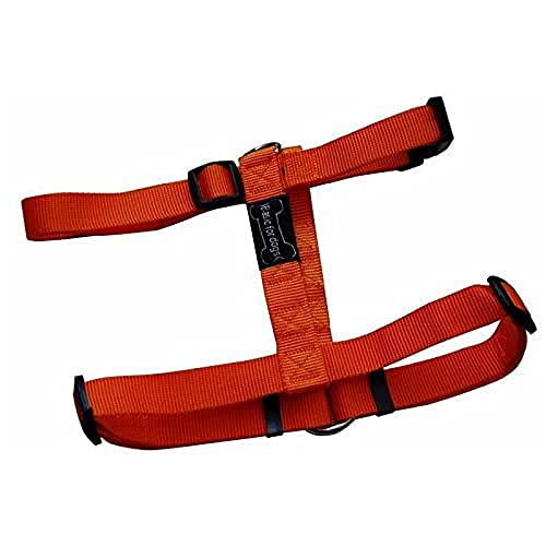 Wouapy ARNES Basic LINE Naranja 15MM/43-65CM von Wouapy