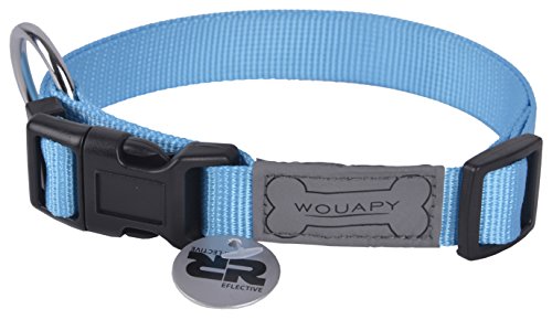 Wouapy Basic Line Hundehalsband, 20/30 cm, Blau von Wouapy