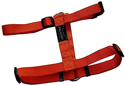 Wouapy Basic Line Geschirr für Hunde, 40 mm Breite/Thorax 74/117 cm, Orange Geschirr von Wouapy