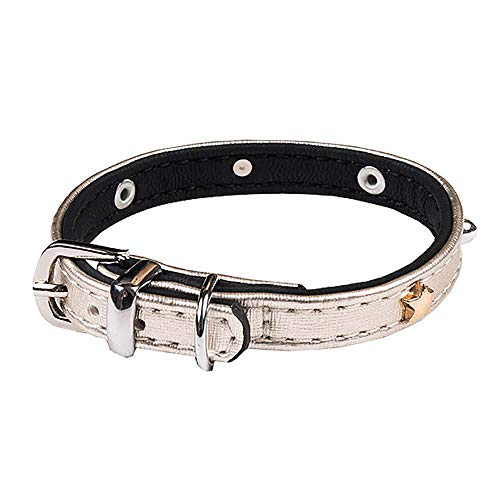 Wouapy Petmini Halsband für kleine Hunde, Kunstleder, 15 mm breit, 30 cm lang von Wouapy