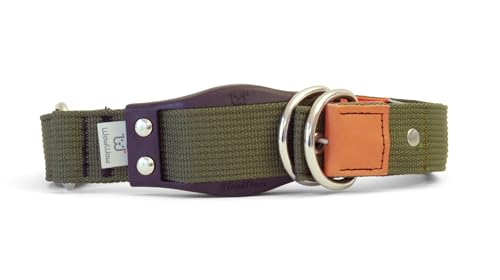 WowWow Professional Hundehalsband mit Leine - Khaki - Größe L 46-66 cm, 205g leicht, innovatives Halsband mit integrierter Leine - bekannt aus der Höhle der Löwen von WowWow